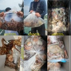 통영문어낚시 - 주말과 휴일 떡대가리 잡으러 갑니다, 자리여유 사진