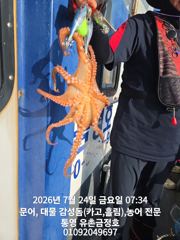 통영 금정호 아침부터 쭉쭉 잡습니다 오늘오후타임 자리있어요 사진