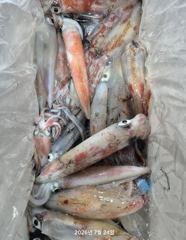 한치가 돌아왔다! 쿨러 묵직!!먹물파티 오늘 예약가능 금.토 예약가능 사진