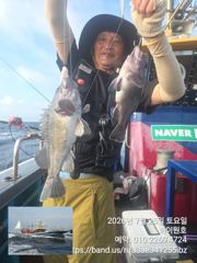 25일, 먼침선, 개우럭,쌍걸이등~실시간~오늘도 고등어,삼치,갈치 갑니다~강추~군산 하이원호