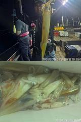 왕한치마릿수손맛보려쭉~달립니다. 사진