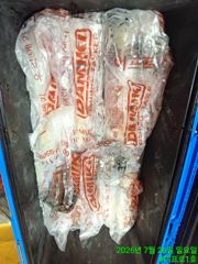 7.25 한치조황입니다! 몽둥이대포 잘나옵니다! 다음주 자리여유많아요