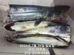 7월 25일 야.라지. 조항 사진