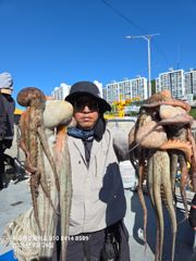 # 여수블루웨이호 돌문어출조 우당탕탕!!!!! 사진