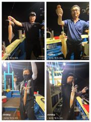한치 오늘도 달립니다. (예약가능) 사진