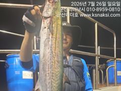 ⭐군산 리더호 야간고등어 쿨러조황⭐ 낼4자리여유 사진