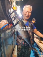 26일, 야간 왕고등어~오늘도 갑니다~전갱이등~실시간~"싸이즈 끝내주는 고등어"~고등어,삼치,등~~~군산 챔피언호 사진
