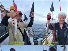 7월27일 왕백조기 12人 조황입니다~!! 사진