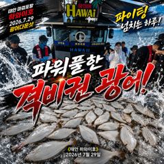 [광어조황] 7.29 하와이호 광어다운샷 조황소식 사진