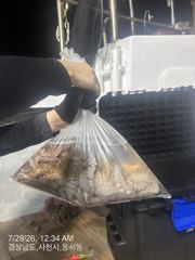오늘 야간문어 출조확정 자리여유 주말 자리여유 많습니다 사진