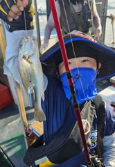 7/29 대천항 [기가호] 백조기 조황입니다