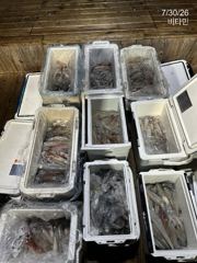 한치 갈치 속에서도 50여수까지//먼바다갈치(16석,18석) 화,수,목~ 사진