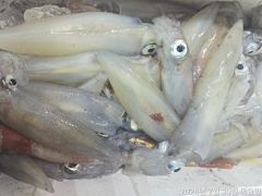 왕한치마릿수굿/원도권갈치손맛보려고~~ 사진