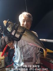 8월1일 군산 홈런호 야간 고등어 출조 하였습니다! 실시간 묵직한 사이즈고등어.전갱이 구경 하세요!