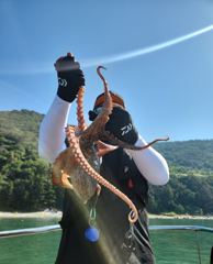 1일(토) 문어낚시 조황입니다  사진