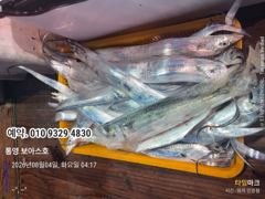 8월4일 입항후 사진