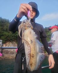 내일 5일(수) 문어낚시 출조확정ㆍ무늬오징어 캐스팅ㆍ팁런 모집중 사진