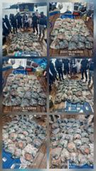 돌문어 황금물때 시작됩니다   토요일 9자리여유    큰녀석들 왕창 뽑으러 갑니다    망태기조황 찍으러 가실분들 미리미리 연락주세요  사진
