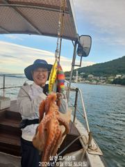 돌문어조황  사진