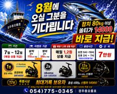 8/8 대삼치 실시간 조황입니다. 사진