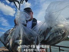 [백조기조황] [홍원항 타이탄호] 8월8일(토) 씨알좋은 백조기&부서 조황 사진