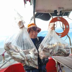 [쭈갑백조황] 8월 11일.백조기.수조기낚시조황 사진