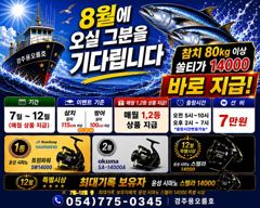 8/14 당일만   무늬오징어(팁런) 선비 5만원. 사진