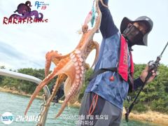 (야간문어) 목.금.토.예약가능 쫀쫀 덩치들 잡으로 가요~