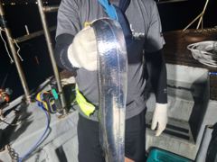 13일 먼바다 갈치루어 빈자리 있습니다 사진