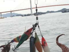 [사천] (문어)삼천포 대물터 직진 K~중치급 난리법석 로마피싱(14일 … 사진