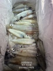제주 어신호" 8월 12일 야간 한치 조황 사진