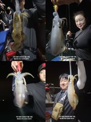 [경주] 8/13)첫 출조 야간무늬 오징어-토(모집)/야간대전갱이-금(모… 사진