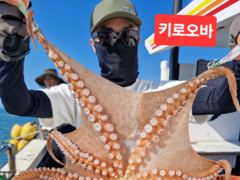8월16일부터 돌문어 자리가능~~~17일.18일 종일반 출조자리여유