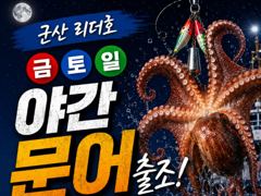⭐군산리더호 야간문어 정상출항⭐ 사진