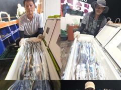 여수갈치[대교낚시] 먼바다 갈치조황,,내일 빈자리 여유 사진