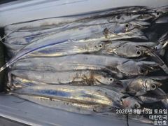 {통영호반호}15일 철수조황임니다 ~씨알이 아주 좋아요~