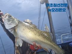 뉴오리온호 생미끼 낚시 실시간조황(15일) -야간문어자리있음 사진