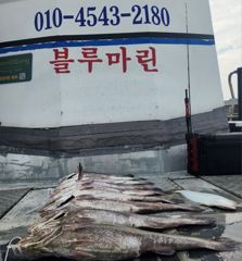 [격포] [격포블루마린호] 8/15 외수질 조황