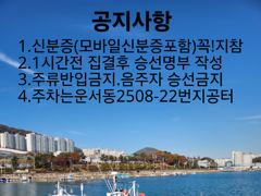 인천 삼목항 포레나호 입니다 쭈꾸미 낚시 예약 하세요.