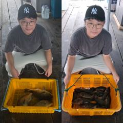 8월 15일,16일 조황입니다~^^ 사진