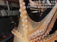 ⭐군산리더호⭐문어출조22일까지~~ 사진