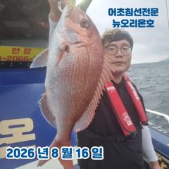 <뉴오리온호> 생미끼 실시간 조황(16일)-금일 야간 문어,고등어 자리있습니다. 사진
