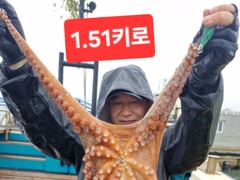 [여수,광양] 8월16일 수중전중~~~2키로오바.1.5키로.15키로~~~