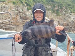 56cm돌돔 마릿수 조화밉니다