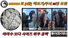 8/15 토 [9물] 백조기/부서 13명 조항 입니다. 사진