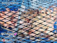 주말 문어 조황입니다.~~ 사진