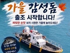 19일(수)가을마릿수감성돔출조합니다 사진