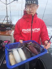 조금이른 무늬오징어  사진