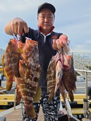 삼천포 마린보이 8. 18. 화요일 부터 붉바리 외수질/야간문어 출항합니다. 사진