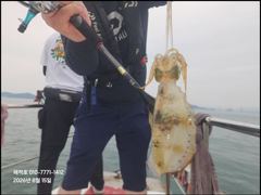 [마산] "해적" 내만 무늬 팁런 화요일부터 달립니다 (8/15 조황… 사진